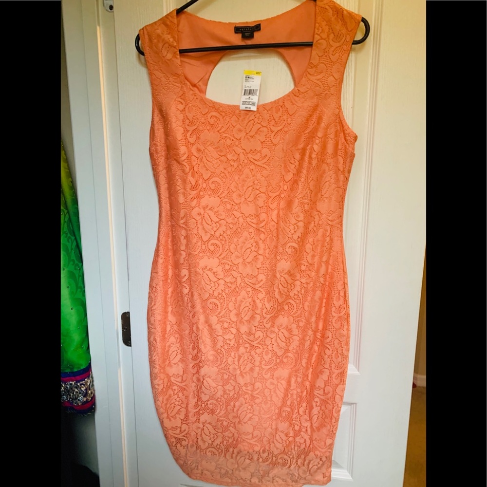 Coral fitted lace cocktail dress